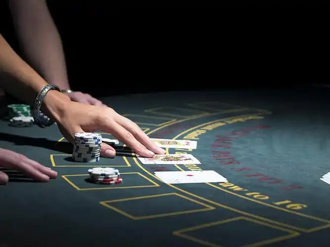 Perbandingan pilihan meja Live Casino Remi99 untuk berbagai jenis pemain